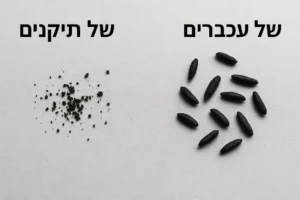 קקי של תיקנים